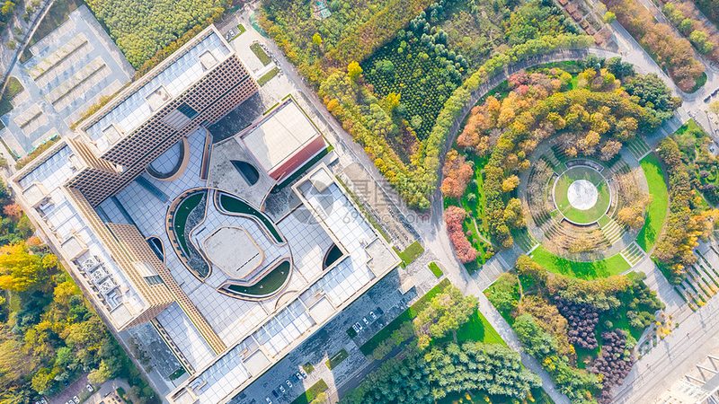 新能源连接器：成都生产厂的崛起与挑战**