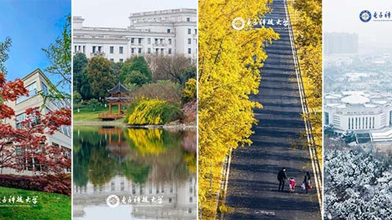 揭秘：电子产品行业排名前十的上市公司有哪些优势？**